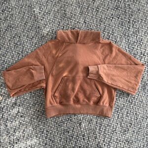 Aerie Rust Hoodie